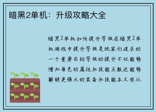 暗黑2单机：升级攻略大全
